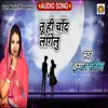 About Tu Hi Chand Lagelu Song
